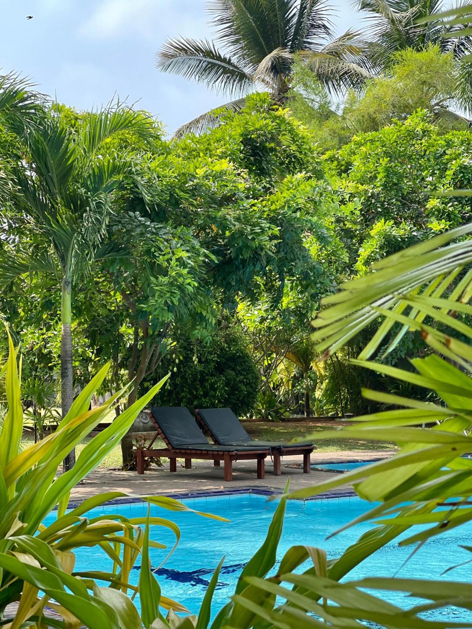 Olanro Hotel Negombo Exterior photo